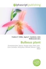Bulbous plant