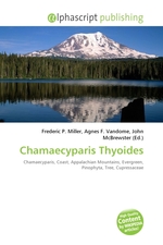 Chamaecyparis Thyoides