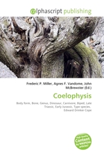 Coelophysis