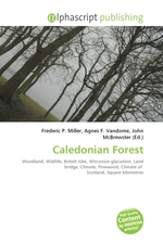 Caledonian Forest