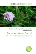 Common Wood Sorrel