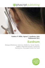Eardrum