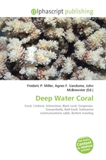 Deep Water Coral
