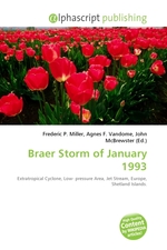 Braer Storm of January 1993