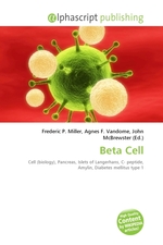 Beta Cell