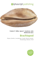 Brachiopod