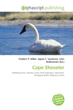 Cape Shoveler