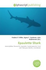 Epaulette Shark