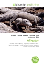 Alligator