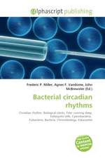 Bacterial circadian rhythms