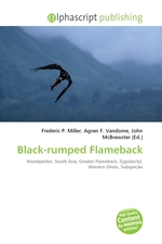 Black-rumped Flameback