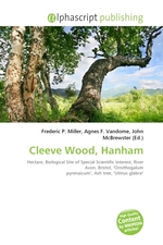 Cleeve Wood, Hanham