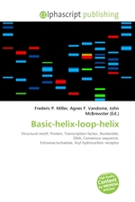Basic-helix-loop-helix