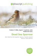 Dead Sea Sparrow