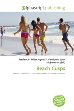 Beach Cusps