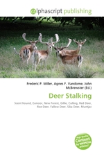 Deer Stalking