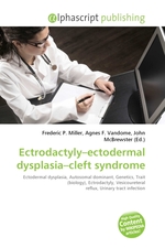 Ectrodactyly–ectodermal dysplasia–cleft syndrome