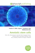 Amniotic stem cells