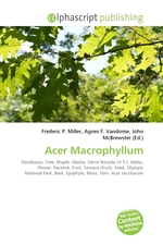 Acer Macrophyllum