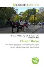 Chilean Horse