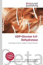 UDP-Glucose 4,6-Dehydratase