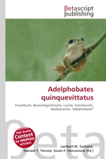 Adelphobates quinquevittatus