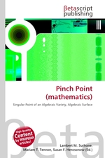 Pinch Point (mathematics)