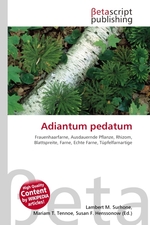 Adiantum pedatum