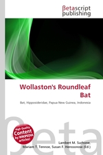 Wollastons Roundleaf Bat