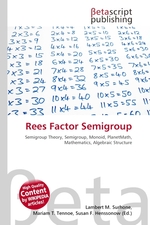 Rees Factor Semigroup