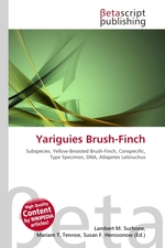 Yariguies Brush-Finch