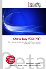 Snow Day (CSI: NY)