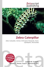 Zebra Caterpillar