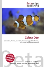 Zebra Oto