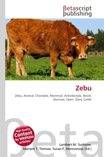 Zebu