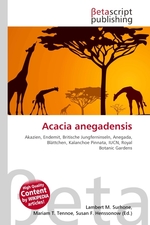 Acacia anegadensis