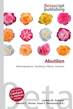 Abutilon