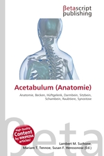 Acetabulum (Anatomie)