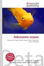 Zebrasoma scopas