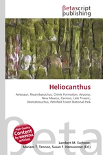 Heliocanthus