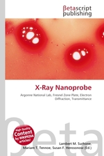 X-Ray Nanoprobe