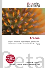 Acaena