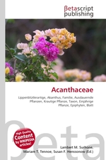 Acanthaceae