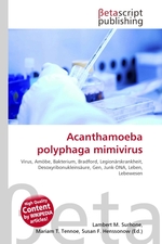 Acanthamoeba polyphaga mimivirus