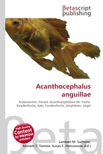 Acanthocephalus anguillae