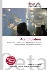 Acantholabrus