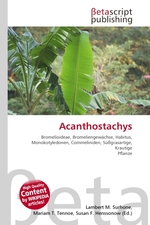 Acanthostachys