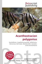 Acanthostracion polygonius