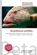 Acanthurus achilles