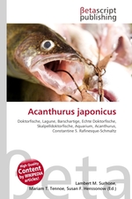 Acanthurus japonicus